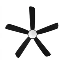 Baylor Genetics logo