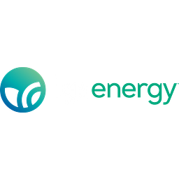 IGS Holding logo