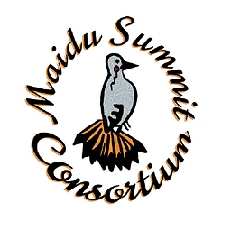 Summit Consortium logo