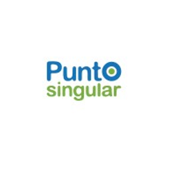 Punto Singular logo