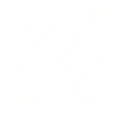 Dissen Juhn logo