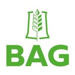 BAG Bad Waldsee logo