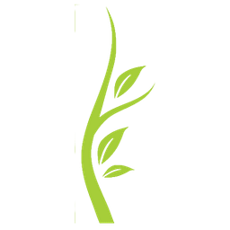 Shasta Head Start Child Development logo