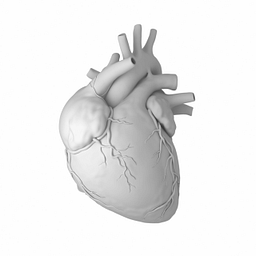 ARIZONA CARDIOVASCULAR CARE LLC logo