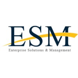 IT ESM logo