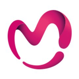 Lmg Inc logo