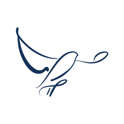Best Practice Software logo
