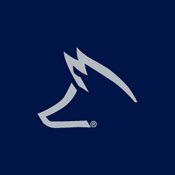 Fox Ford logo