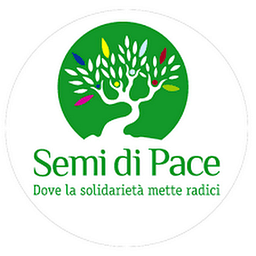 Pace Semi logo