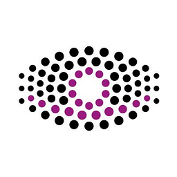 Express Vision logo