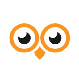 Oowlish Technology logo