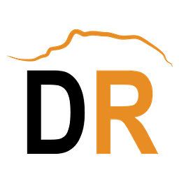 Dutch Ridge Consulting Group logo