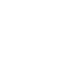 Bifrost Defence logo