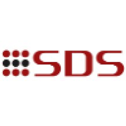Smart Data Solutions LLC logo