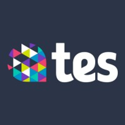 T.E.S logo