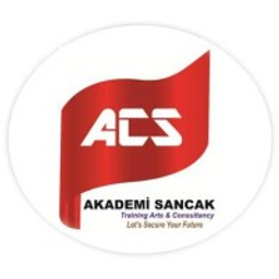 Sancak Online logo