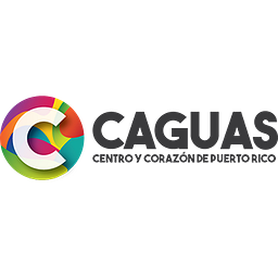 NATIONAL COLLEGE OF BUSINESS & TECHNOLOGY logo