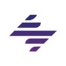 DealerScout logo