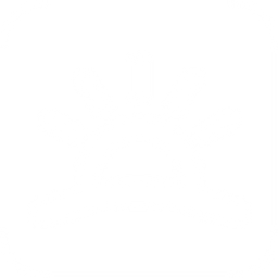 everydays logo