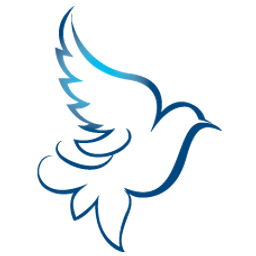 Dove Healthcare logo