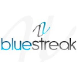 BLUE STREAK PARTNERS INC logo
