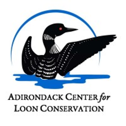 The Wicked Loon logo