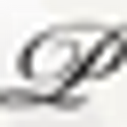 Platinum Hospitality Group LLC logo