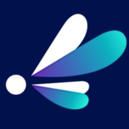 Luminize logo