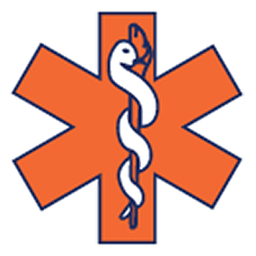 LifeMed Alaska logo