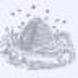 CITY OF EVERMAN logo