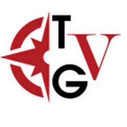 The Foreign Venture Group logo