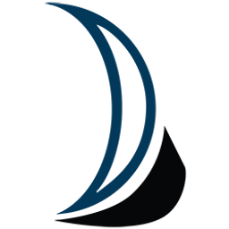 WaveStrong, Inc. logo