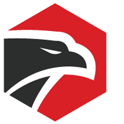 Precision Security Team logo