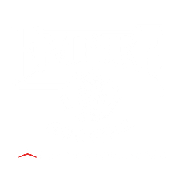 Empire Roofing logo