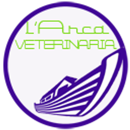A.V. Integration logo