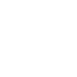 Zeal Group logo
