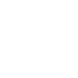 MDP Diesel & Auto Repair logo