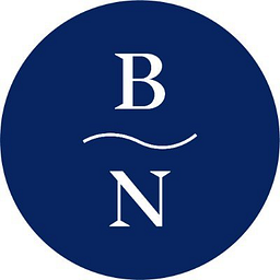 Blue Nile logo