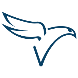 Pereview Software logo