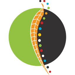 Bidgerdii Community Health Service logo