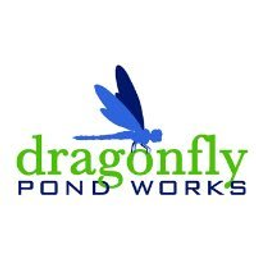 Dragonfly Pond Works logo