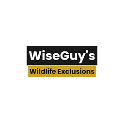 WiseGuys logo