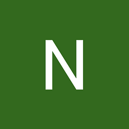 Naik Group logo