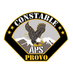 All Pro Security LLC logo