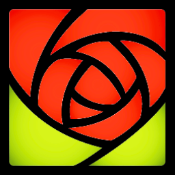The City of Rock Hill logo