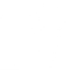 Hawk-Eye Innovations logo