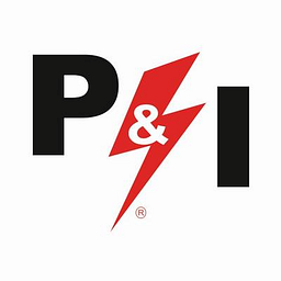Pandi Group logo