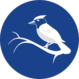 Pennant logo