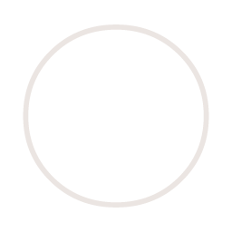 Solomon Group Productions logo