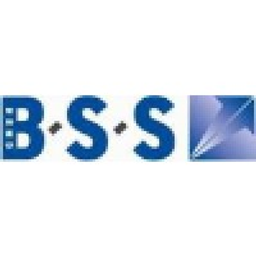 BSS Steuerberatungsgesellschaft logo